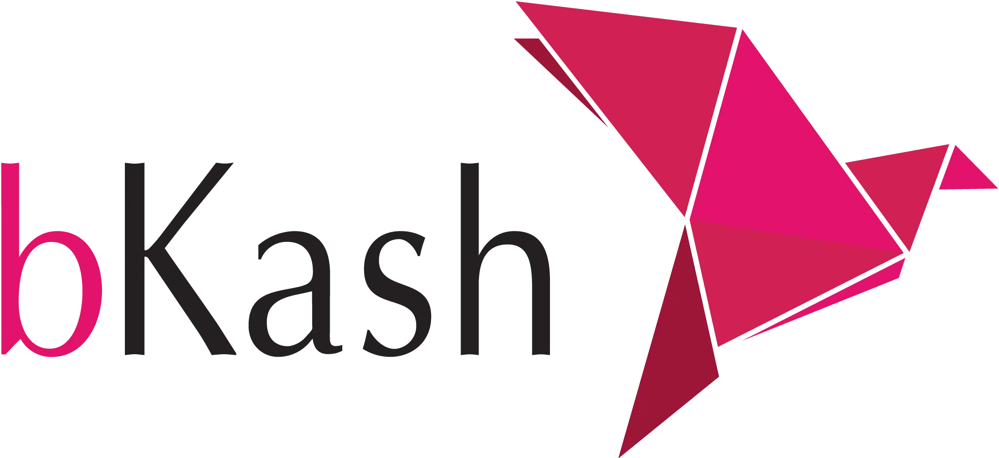 payment logo